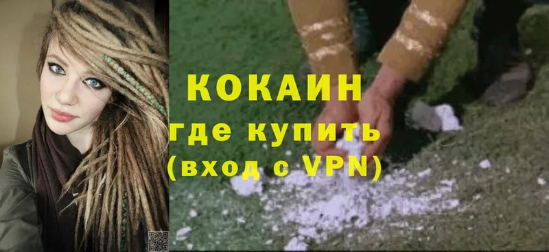 купить закладку  Задонск  hydra зеркало  COCAIN Fish Scale 